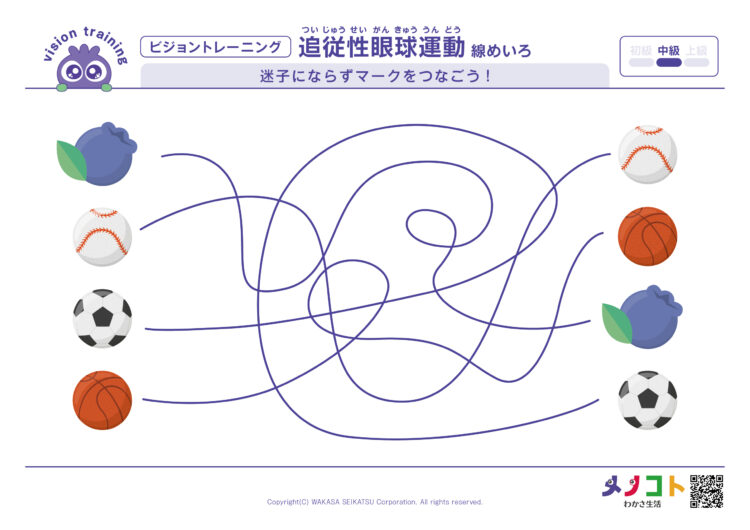 線めいろ中級ビジョンとレーニング